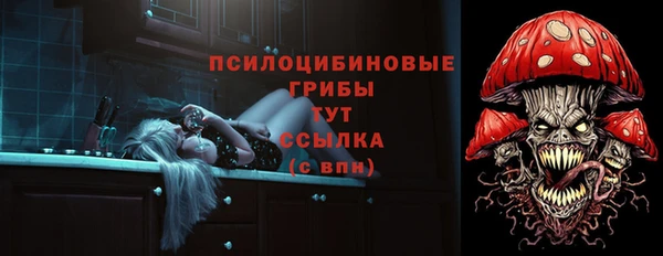 мяу мяу мука Карпинск