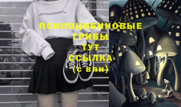 альфа пвп Каменногорск