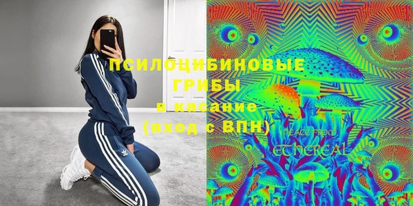 эйфоретик Кинешма