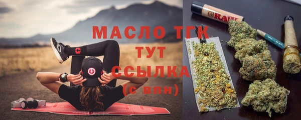 стаф Каменка