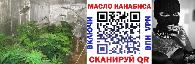 ТГК гашишное масло  Кодинск 