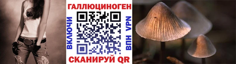 Псилоцибиновые грибы прущие грибы  купить наркотик  Кодинск 